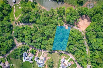 Arcadia Lot 247 overhead