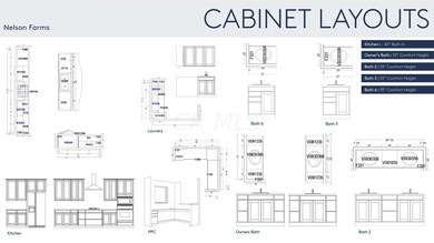 Cabinet Layouts