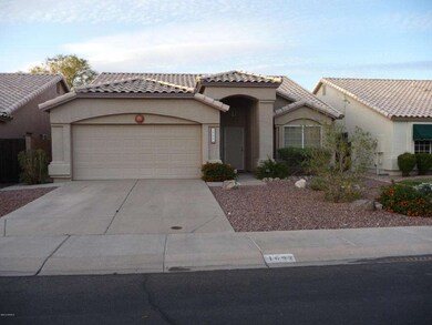 Easy care desert landscaping