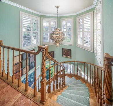 7351 Alicante Rd, Carlsbad, CA 92009 - photo 6