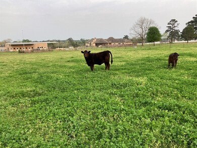 34010 Old Hempstead Rd, Magnolia, TX 77355 - photo 4