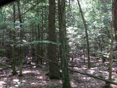 L06 County Rd, Dunbarton, NH 03046 - photo 4