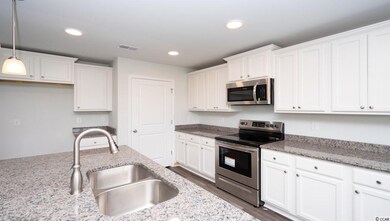 1012 Trails Rd unit Lot 201 Alston-B, Conway, SC 29527 - photo 7