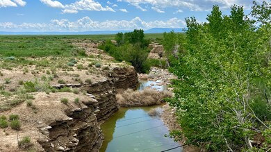 48999 County Road 48, Model, CO 81059 - photo 2