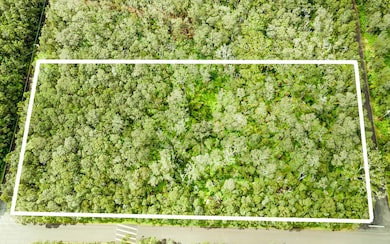 0 Ruby Ave, Volcano, HI 96785 - photo 3