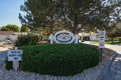 20 Kingsboro Way unit B, Pueblo, CO 81005 - photo 4