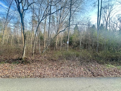 Lot 3 Radford Rd, East Bernstadt, KY 40729 - photo 2