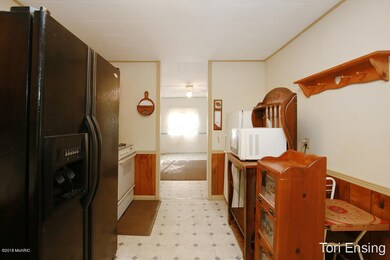 421 Hill St, Ionia, MI 48846 - photo 6