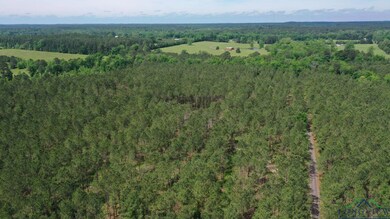 Birds eye view of property featuring a forest view