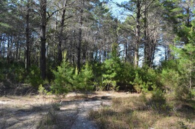 000 Sea Eagle Dr, Keaton Beach, FL 32348 - photo 7