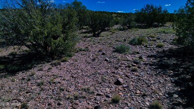 0 Co Rd 5062 Lot 1 3 53 Acres, Concho, AZ 85924 - photo 7