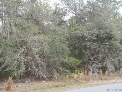 1793 E Humphrey Ln, Hernando, FL 34442 - photo 3