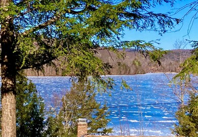 54 Black Duck Spur, Grantham, NH 03753 - photo 2