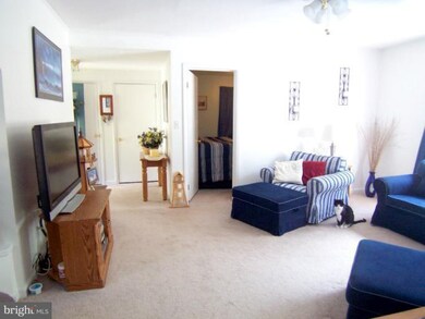 9117 3rd St, Lanham, MD 20706 - photo 6