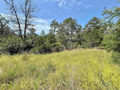 001-01049-000 Cr 128, Calico Rock, AR 72519 - photo 7