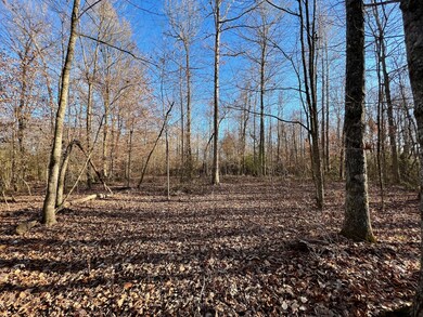 4 Duncan St, Manchester, TN 37355 - photo 7