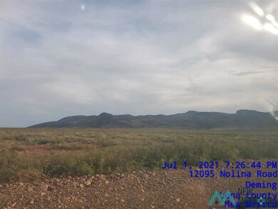 12095 Nolina Rd SE, Deming, NM 88030 - photo 2