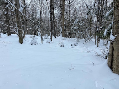 0 Fall Brook Rd unit 5071480, Lyndon, VT 05851 - photo 7