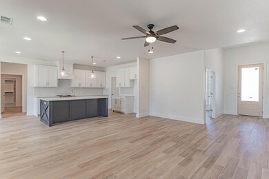 188 Saddle Horn Trail, Boyd, TX 76023 - photo 5