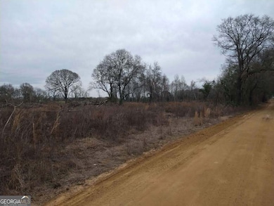 2 Condor Rd, Twin City, GA 30471 - photo 3