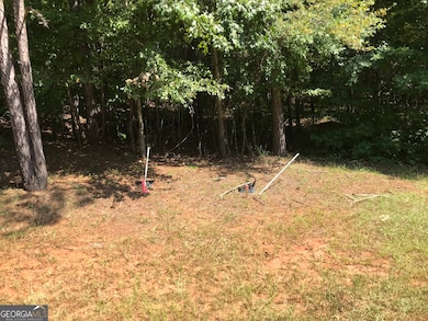 0 LOT 203 Jamesway Dr, Sparta, GA 31087 - photo 6