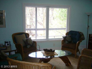 0 Langhorn Dr unit 1000213483, Mathias, WV 26812 - photo 4
