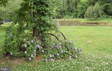 3719 Fiery Run Rd, Linden, VA 22642 - photo 7