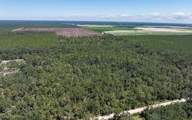 TBD 145th Rd, McAlpin, FL 32062 - photo 7
