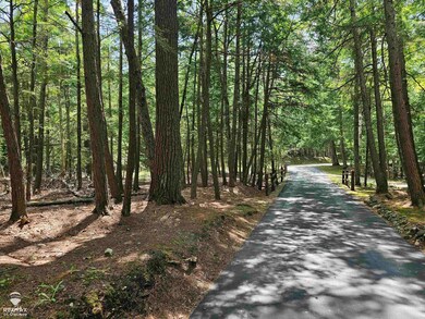 0 Spile Dam Rd unit 50182643, Millersburg, MI 49759 - photo 3