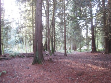 46 Lot A 192nd St, Stanwood, WA 98292 - photo 2