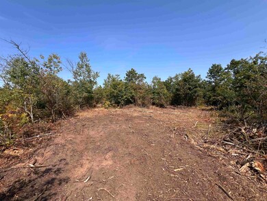 0 Parkway Rd, Beaver, WI 54114 - photo 2