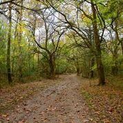 0 Sandusky Rd, Shelbyville, TN 37160 - photo 7