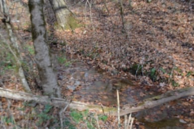 0 Wet Mill Creek Rd unit RTC3050174, Celina, TN 38551 - photo 7