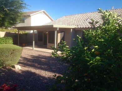 Back patio.