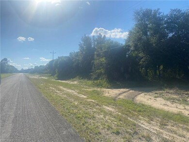 1223 Milwaukee Blvd, Lehigh Acres, FL 33974 - photo 4