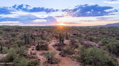 coyote-creek-2020-3