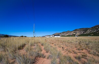 IMG_0209