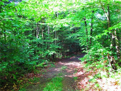 0 Campbell Hill Rd unit R1648861, Middlefield, NY 13326 - photo 7