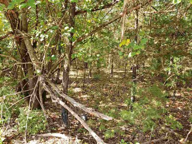 L-35, 36, B-7 Pahokee Dr, Cherokee Village, AR 72529 - photo 7