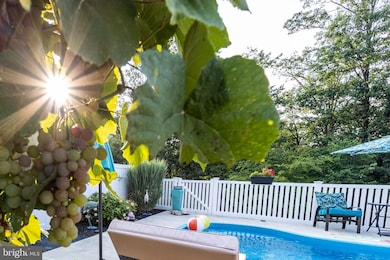 101 Trout River Terrace, Falling Waters, WV 25419 - photo 2