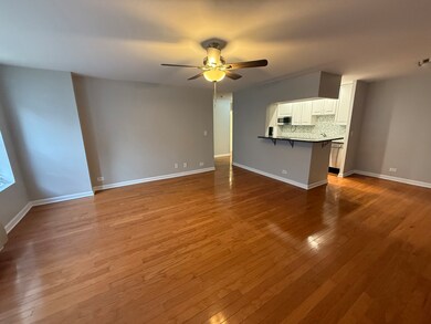 744 W Gordon Terrace unit 203, Chicago, IL 60613 - photo 3