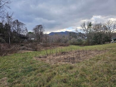 00 Belleview Rd, Franklin, NC 28734 - photo 5