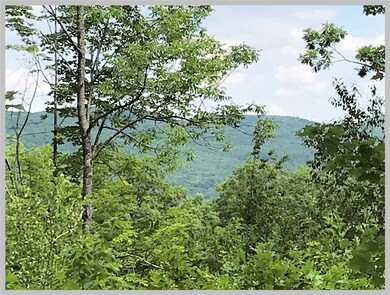 Lot #14 Point of View Dr, Plymouth, NH 03264 - photo 6