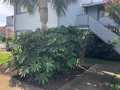 Surfsong Landscaping