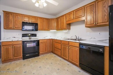 8323 Juanita Goins Ct, Louisville, KY 40228 - photo 4