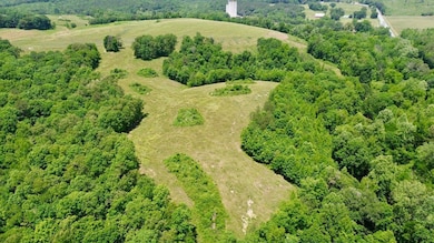 120 Acres Carnes Chapel Rd, Attalla, AL 35954 - photo 3