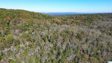 0 Mill Creek Rd unit 21437437, Warrior, AL 35180 - photo 6