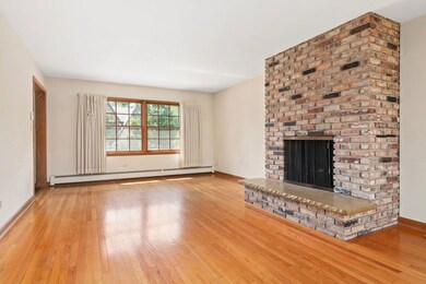 447 S Arlington Ave, Elmhurst, IL 60126 - photo 4