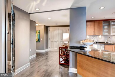 The Ritz-Carlton Residences, Baltimore, MD 21230 - photo 6
