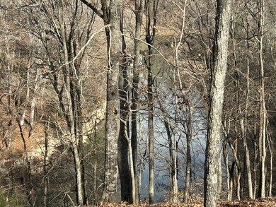 0 Hidden River Rd unit RTC3050288, Rock Island, TN 38581 - photo 6